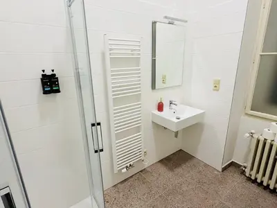 a white bathroom with a sink and a shower at Zitna Downtown Residence in Prague