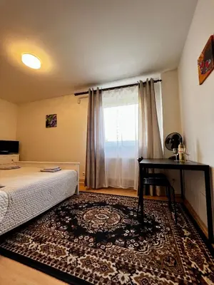 a bedroom with a bed and a desk and a window at Penzion Sofi in Prague