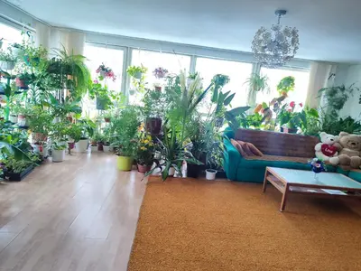 a living room filled with lots of plants at Оазис in Jíloviště