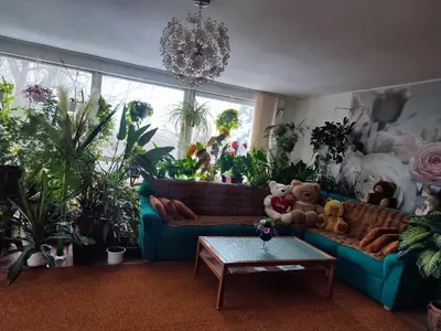 a living room filled with lots of plants at Оазис in Jíloviště
