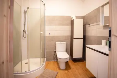 a bathroom with a toilet and a glass shower at U báby Šubrový in Kokořín