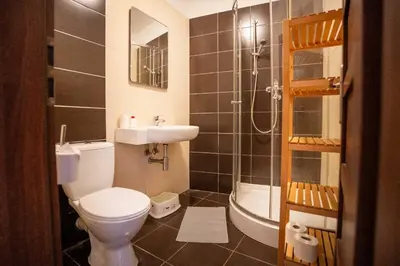 a bathroom with a toilet and a sink and a shower at U báby Šubrový in Kokořín