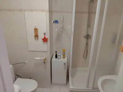 a bathroom with a shower and a toilet and a sink at At the Star in Kladno