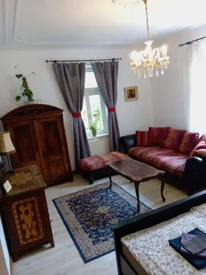 a living room with a couch and a table at Historic Villa Apartments in Prague
