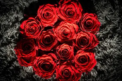 a bunch of red roses arranged in a bouquet at Victory Noble Estate in Prague