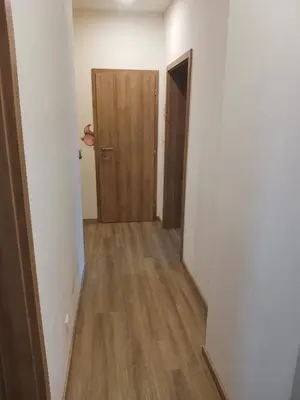 an empty hallway with a door and a wooden floor at Large Apartment with terrace and big garden in Prague
