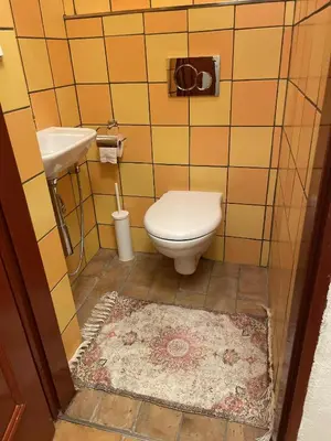 a small bathroom with a toilet and a sink at Apartment Otakar in Nymburk