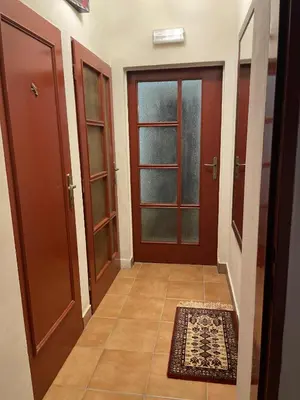 a hallway with two doors and a rug at Apartment Otakar in Nymburk