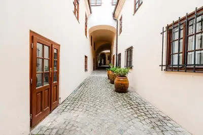 an alley way with potted plants and a door at Huge 4 Rooms Charles Bridge Apartment in Prague