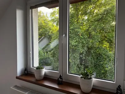 two potted plants sitting on a window sill at Apartmán Břevnov in Prague