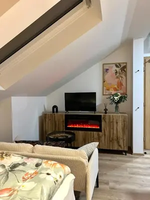 a living room with two couches and a fireplace at Adel in Prague in Prague