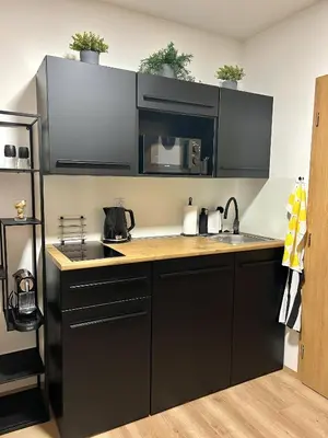 a kitchen with black cabinets and a sink at Adel in Prague in Prague