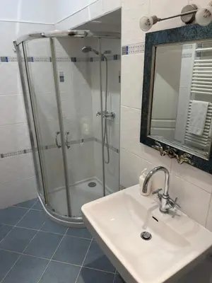 a bathroom with a shower and a sink and a mirror at Vintage Charm in the Heart of Prague in Prague