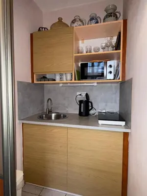 a kitchen with a sink and wooden cabinets at Vintage Charm in the Heart of Prague in Prague