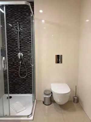 a bathroom with a shower and a toilet in it at Heritage Haven Mezzanine Apartment with Balcony in Prague