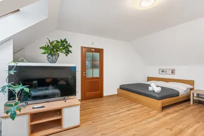 a bedroom with a bed and a flat screen tv at The Dante House Šeberov in Prague