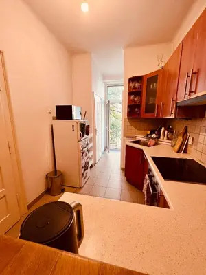 a kitchen with a refrigerator and a counter top at Elegant & inviting entire flat on Letná in Prague