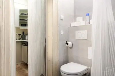 a bathroom with a toilet and a shower curtain at Old Town - 2BR - Living Room - Sleeps 8 - Metro 1 minute - Newly renovated in Prague