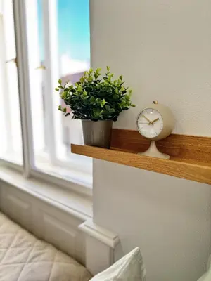 a clock and a potted plant on a window sill at Old Town Green Room with private bathroom in Prague