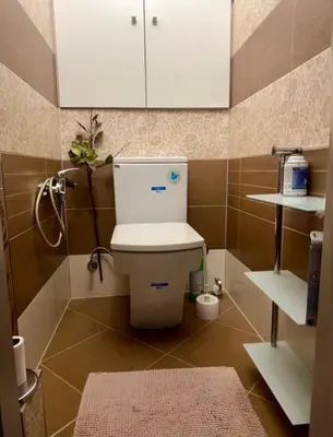 a bathroom with a toilet with a cabinet and a rug at 2-luzkovy pokoj Praha-13 metro HURKA in Prague