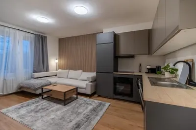 a kitchen and living room with a couch and a table at Prague Family Apartment in Prague