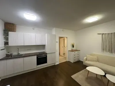 a kitchen and living room with a couch and a table at Evas Cozy Studio Prague in Prague
