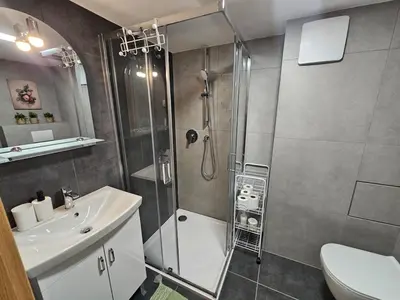 a bathroom with a shower and a toilet and a sink at Bohemian Loft Apartament in Prague