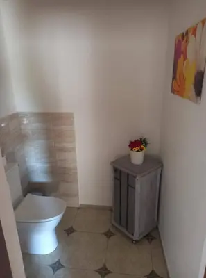 a bathroom with a toilet and a table with a plant on it at Ubytováni U rybníčku in Bzová