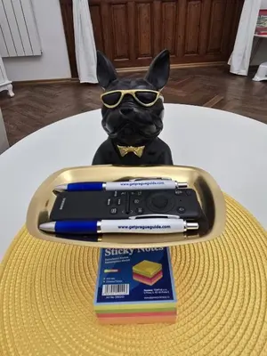 a statue of a dog with glasses and a pen at Get Prague Flat Trojanova in Prague