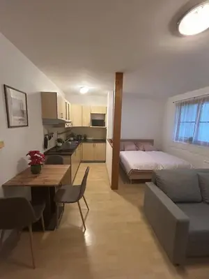 a room with a bed and a table and a kitchen at Eleven Břevnov in Prague