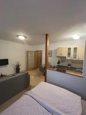 a bedroom with a bed and a living room with a kitchen at Eleven Břevnov in Prague