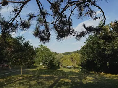 a view of a park with trees and grass at 4borovice in Velká Lečice