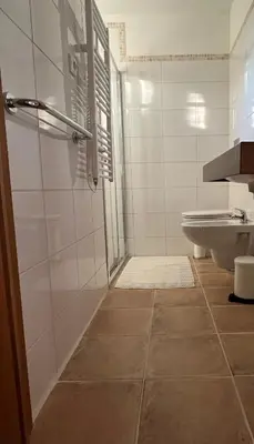 a bathroom with a shower and a toilet at 4borovice in Velká Lečice
