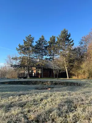 a house in the middle of a field with trees at 4borovice in Velká Lečice