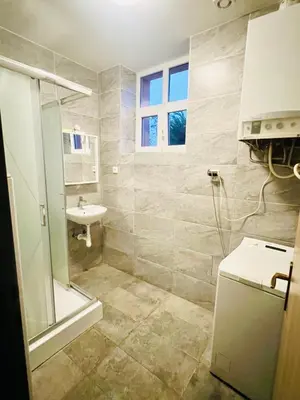 a bathroom with a sink and a toilet and a shower at Big apartment in Brandýs nad Labem in Brandýs nad Labem-Stará Boleslav