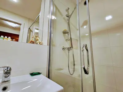 a bathroom with a shower and a sink at PRIVATE GARDEN 2BR PRAGUE APARTMENT for Business & Leisure, FREE PARKING & Gym, by LIVE-INN 2 in Prague