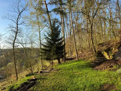 a hillside with trees and green grass and a field at Chaloupka v lese u Kutné Hory