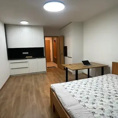 Newly built Studio in Prague Near Metro Haje
