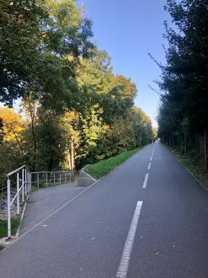 an empty road with trees on either side at Terrace apartment near centre, parking, river park in Prague