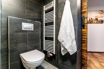 a bathroom with a toilet and a black wall at Apartmán U Hluboké studny in Rakovník