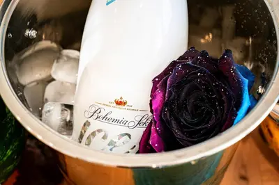a bottle of water and a purple rose in a cup at Luxury Urban Suite in Prague