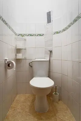 a bathroom with a white toilet in a room at Crown of Leo in Prague