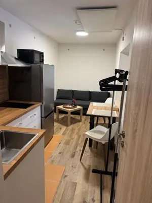 a room with a kitchen and a living room at Apartmán na Hejtmánce u letiště v Mladé Boleslavi in Mladá Boleslav