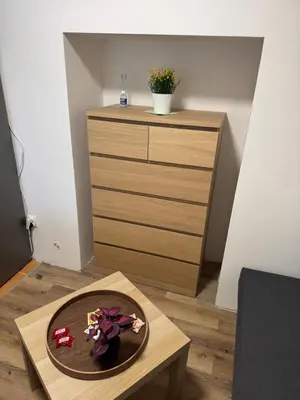 a room with a dresser and a table with flowers on it at Apartmán na Hejtmánce u letiště v Mladé Boleslavi in Mladá Boleslav
