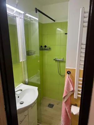 a green bathroom with a sink and a shower at Apartmán na Hejtmánce u letiště v Mladé Boleslavi in Mladá Boleslav