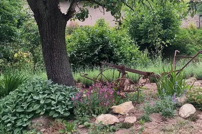 an old bench sitting in a garden next to a tree at Honey Gardens venkovský apartmán v přírodní zahradě in Oleška