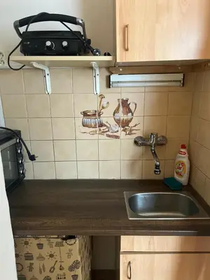 a small kitchen with a sink and a counter at Peaceful apartment - centre in 10 min in Prague
