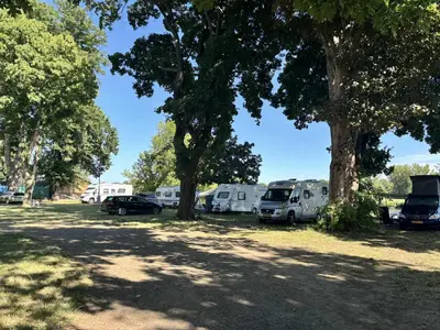 a group of rvs parked in a field with trees at Camp Litomerice in Litoměřice