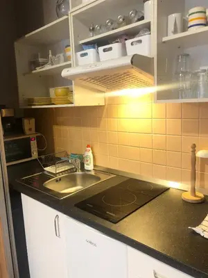 a kitchen with a sink and a counter top at Prague City Loft And Studio in Prague