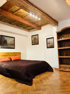 a bedroom with a large bed in a room at Apartmán Míšeňská in Prague